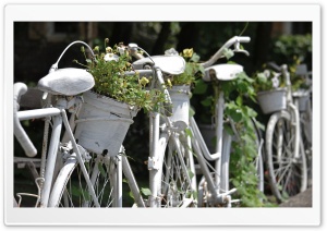 Bicycle Fence Ultra HD Wallpaper for 4K UHD Widescreen desktop, tablet & smartphone