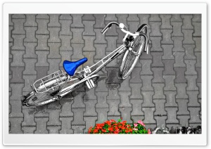 Bicycle In The Rain Ultra HD Wallpaper for 4K UHD Widescreen desktop, tablet & smartphone