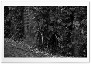 Bicycle, Medieval Streets of Ghent, Belgium 4K UHD Wallpaper for Widescreen and UltraWide Desktop, UltraHD TV, Smartphone, Tablet
