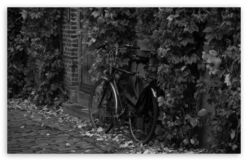 Bicycle, Medieval Streets of Ghent, Belgium UltraHD Wallpaper for UHD 16:9 ; HD 16:9 ; UltraWide 21:9 24:10 ; Widescreen 16:10 ; Fullscreen 3:2 ; Tablet 1:1 ; Mobile 9:16 9:19.5 9:20 9:21 9:22 ;
