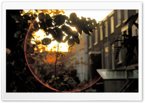 Big Lens Flare Ultra HD Wallpaper for 4K UHD Widescreen desktop, tablet & smartphone