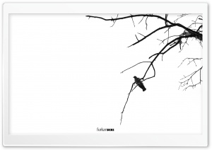 Bird Alone Ultra HD Wallpaper for 4K UHD Widescreen desktop, tablet & smartphone