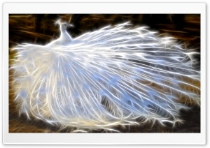 Bird Art Ultra HD Wallpaper for 4K UHD Widescreen desktop, tablet & smartphone