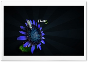 Bird On Flower Gramophone Audio Jungle Ultra HD Wallpaper for 4K UHD Widescreen desktop, tablet & smartphone