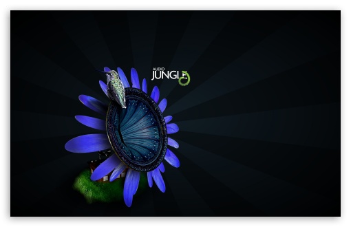 Bird On Flower Gramophone Audio Jungle UltraHD Wallpaper for Wide 16:10 5:3 Widescreen WHXGA WQXGA WUXGA WXGA WGA ; 8K UHD TV 16:9 Ultra High Definition 2160p 1440p 1080p 900p 720p ; Standard 4:3 5:4 3:2 Fullscreen UXGA XGA SVGA QSXGA SXGA DVGA HVGA HQVGA ( Apple PowerBook G4 iPhone 4 3G 3GS iPod Touch ) ; Tablet 1:1 ; iPad 1/2/Mini ; Mobile 4:3 5:3 3:2 16:9 5:4 - UXGA XGA SVGA WGA DVGA HVGA HQVGA ( Apple PowerBook G4 iPhone 4 3G 3GS iPod Touch ) 2160p 1440p 1080p 900p 720p QSXGA SXGA ;