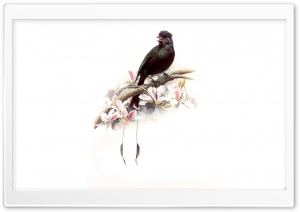 Birds Art Ultra HD Wallpaper for 4K UHD Widescreen desktop, tablet & smartphone