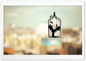 Birds Cage Photo HD Ultra HD Wallpaper for 4K UHD Widescreen desktop, tablet & smartphone