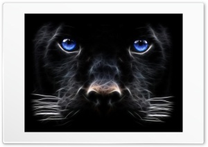 black 4K UHD Wallpaper for Widescreen and UltraWide Desktop, UltraHD TV, Smartphone, Tablet