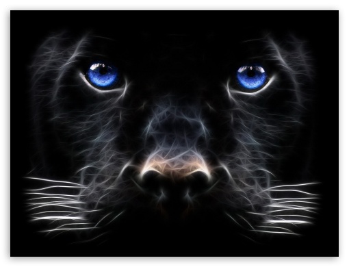 black UltraHD Wallpaper for Fullscreen 4:3 ;