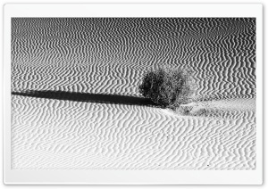 Black and White, Kelso Dunes, Mojave Desert 4K UHD Wallpaper for Widescreen and UltraWide Desktop, UltraHD TV, Smartphone, Tablet