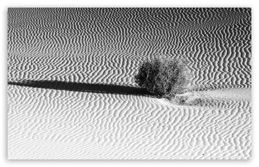 Black and White, Kelso Dunes, Mojave Desert UltraHD Wallpaper for UHD 16:9 ; HD 16:9 ; UltraWide 21:9 24:10 32:9 32:10 ; Widescreen 16:10 5:3 ; Fullscreen 4:3 5:4 3:2 ; Tablet 1:1 ; Mobile 9:16 9:19.5 9:20 10:16 2:3 3:5 3:4 ; Dual 16:10 5:3 16:9 4:3 5:4 3:2 ;