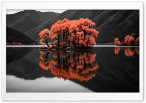 Black and White Mountain Landscape, Orange Trees Reflected in Lake 4K UHD Wallpaper for Widescreen and UltraWide Desktop, UltraHD TV, Smartphone, Tablet