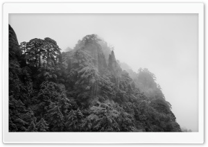 Black and White Pine Cliffs, Mist, Huangshan, China 4K UHD Wallpaper for Widescreen and UltraWide Desktop, UltraHD TV, Smartphone, Tablet
