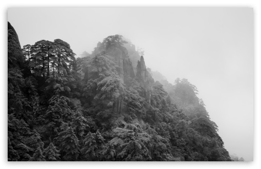 Black and White Pine Cliffs, Mist, Huangshan, China UltraHD Wallpaper for UHD 16:9 ; HD 16:9 ; UltraWide 21:9 24:10 32:9 32:10 ; Widescreen 16:10 ; Tablet 1:1 ; Mobile 9:16 9:19.5 9:20 9:21 9:22 ; Dual 16:10 16:9 ;