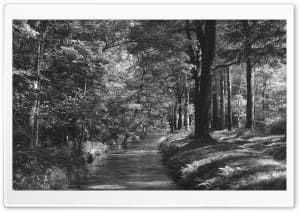 Black and White Rigole de la Montagne Noire 4K UHD Wallpaper for Widescreen and UltraWide Desktop, UltraHD TV, Smartphone, Tablet