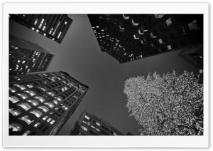 Black And White San Francisco Christmas Ultra HD Wallpaper for 4K UHD Widescreen desktop, tablet & smartphone