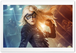Black Canary Ultra HD Wallpaper for 4K UHD Widescreen desktop, tablet & smartphone