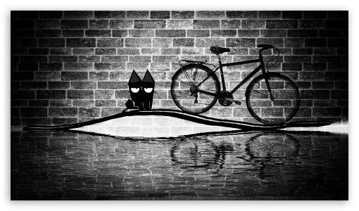 black Cat UltraHD Wallpaper for 8K UHD TV 16:9 Ultra High Definition 2160p 1440p 1080p 900p 720p ; Mobile 16:9 - 2160p 1440p 1080p 900p 720p ;