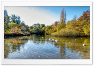 Black Dam Pond Ultra HD Wallpaper for 4K UHD Widescreen desktop, tablet & smartphone