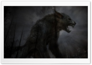 Black Fierce Wolf Ultra HD Wallpaper for 4K UHD Widescreen desktop, tablet & smartphone