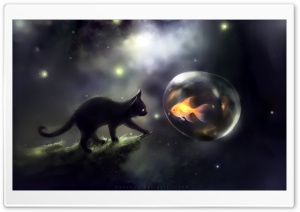 Black Kitty And Golden Fish Ultra HD Wallpaper for 4K UHD Widescreen desktop, tablet & smartphone