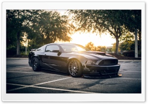 Black Mustang Car Ultra HD Wallpaper for 4K UHD Widescreen desktop, tablet & smartphone