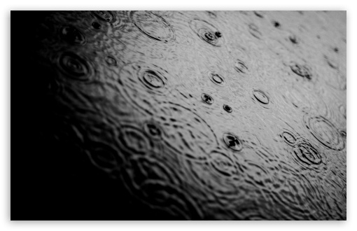 Black Rain UltraHD Wallpaper for Wide 16:10 5:3 Widescreen WHXGA WQXGA WUXGA WXGA WGA ; 8K UHD TV 16:9 Ultra High Definition 2160p 1440p 1080p 900p 720p ; Standard 4:3 5:4 3:2 Fullscreen UXGA XGA SVGA QSXGA SXGA DVGA HVGA HQVGA ( Apple PowerBook G4 iPhone 4 3G 3GS iPod Touch ) ; Tablet 1:1 ; iPad 1/2/Mini ; Mobile 4:3 5:3 3:2 16:9 5:4 - UXGA XGA SVGA WGA DVGA HVGA HQVGA ( Apple PowerBook G4 iPhone 4 3G 3GS iPod Touch ) 2160p 1440p 1080p 900p 720p QSXGA SXGA ;