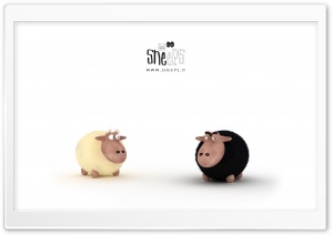 Black Sheep Vs White Sheep Ultra HD Wallpaper for 4K UHD Widescreen desktop, tablet & smartphone