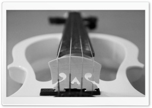 Black White Violin Ultra HD Wallpaper for 4K UHD Widescreen desktop, tablet & smartphone
