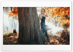Blonde Girl near Golden Autumn Tree 4K UHD Wallpaper for Widescreen and UltraWide Desktop, UltraHD TV, Smartphone, Tablet