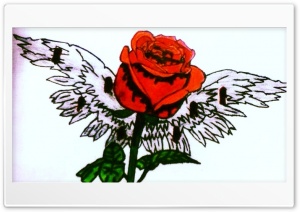 BloodShot Angel Rose 4K UHD Wallpaper for Widescreen and UltraWide Desktop, UltraHD TV, Smartphone, Tablet