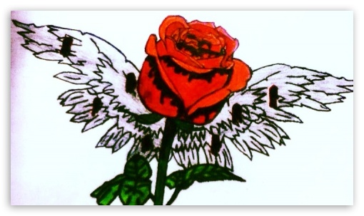 BloodShot Angel Rose UltraHD Wallpaper for Mobile 3:4 ;