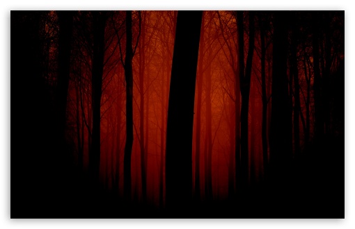 Bloody Forest UltraHD Wallpaper for Wide 16:10 5:3 Widescreen WHXGA WQXGA WUXGA WXGA WGA ; 8K UHD TV 16:9 Ultra High Definition 2160p 1440p 1080p 900p 720p ; Standard 4:3 5:4 3:2 Fullscreen UXGA XGA SVGA QSXGA SXGA DVGA HVGA HQVGA ( Apple PowerBook G4 iPhone 4 3G 3GS iPod Touch ) ; Tablet 1:1 ; iPad 1/2/Mini ; Mobile 4:3 5:3 3:2 16:9 5:4 - UXGA XGA SVGA WGA DVGA HVGA HQVGA ( Apple PowerBook G4 iPhone 4 3G 3GS iPod Touch ) 2160p 1440p 1080p 900p 720p QSXGA SXGA ;