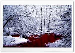 Bloody Winter Ultra HD Wallpaper for 4K UHD Widescreen desktop, tablet & smartphone