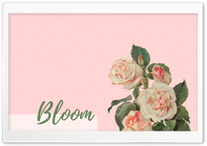 Bloom Ultra HD Wallpaper for 4K UHD Widescreen desktop, tablet & smartphone