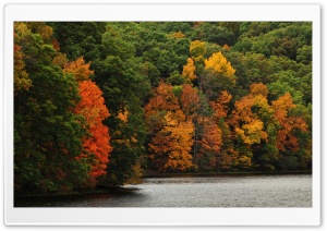 Bloomington, Autumn Ultra HD Wallpaper for 4K UHD Widescreen desktop, tablet & smartphone