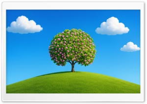 Blossom Tree on a Hill in Spring 4K UHD Wallpaper for Widescreen and UltraWide Desktop, UltraHD TV, Smartphone, Tablet
