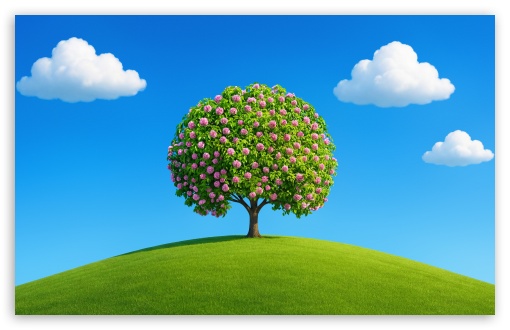 Blossom Tree on a Hill in Spring UltraHD Wallpaper for UHD 16:9 ; HD 16:9 ; UltraWide 21:9 24:10 ; Widescreen 16:10 ; Tablet 1:1 ; Mobile 9:16 ;