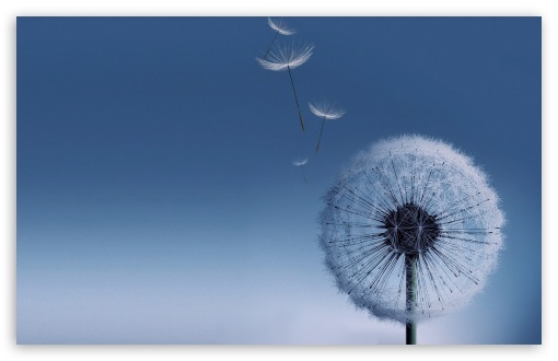 Blue UltraHD Wallpaper for Widescreen 16:10 ;