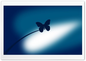 Blue Butterfly Ultra HD Wallpaper for 4K UHD Widescreen desktop, tablet & smartphone