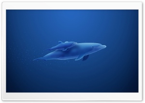 Blue Dolphins Ultra HD Wallpaper for 4K UHD Widescreen desktop, tablet & smartphone