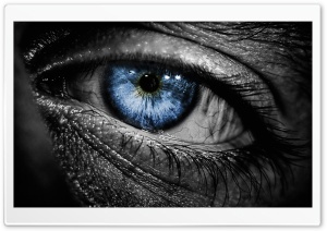 Blue Eye Ultra HD Wallpaper for 4K UHD Widescreen desktop, tablet & smartphone