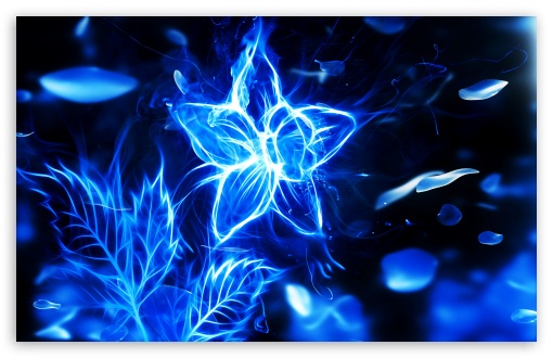 Blue Fire Flower Ultra HD Desktop Background Wallpaper for 4K UHD TV :  Widescreen & UltraWide Desktop & Laptop : Tablet : Smartphone