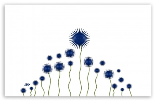 Blue Flower Ultra HD Desktop Background Wallpaper for 4K UHD TV ...