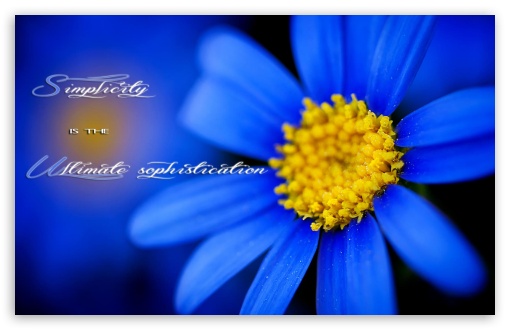 Blue flower UltraHD Wallpaper for Widescreen 16:10 ;