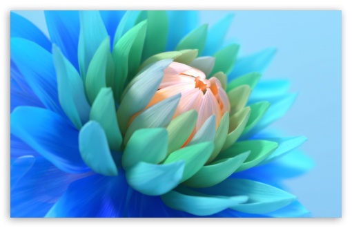 Blue Flower Macro UltraHD Wallpaper for UHD 16:9 ; HD 16:9 ; UltraWide 21:9 24:10 ; Widescreen 16:10 5:3 ; Fullscreen 4:3 5:4 3:2 ; Tablet 1:1 ; Mobile 9:16 2:3 3:5 3:4 ;