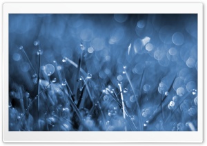 Blue Fog Ultra HD Wallpaper for 4K UHD Widescreen desktop, tablet & smartphone