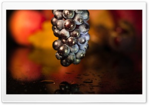 Blue Grape Ultra HD Wallpaper for 4K UHD Widescreen desktop, tablet & smartphone
