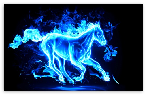 blue horse background