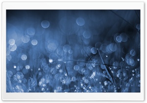 Blue Moon Ultra HD Wallpaper for 4K UHD Widescreen desktop, tablet & smartphone